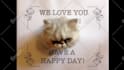 record my cat break through your birthday card
