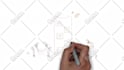 do pro whiteboard explainer videos , fast delivery