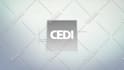 create professional architecture logo intro
