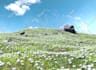 do realistic 3d product video or render for your brand