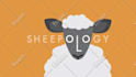 create animated bumper intro opener video motion graphics