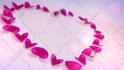 do an elegant valentines day greeting video