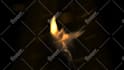 make Phoenix to BURNOUT and reveal your logo in full hd