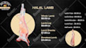 design and animate digital menu, digital menu board  or tv menu
