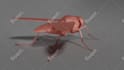 sculpt 3d models for games and printing