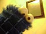 voice elmo, cookie monster and kermit