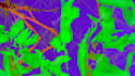 design abstract visuals synced to your music