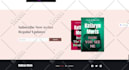 build ecommerce website, shopify store or dropshipping store