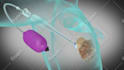 create 3d animation video