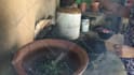 make village cooking video for your youtube