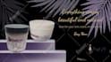 create stunning commercial brand video