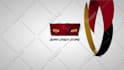 do professional intro animation for your logo