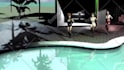 create 3d animated dance video for you