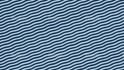 develop web svg animations