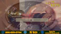 create unlimited custom  locksmith awesome promo video