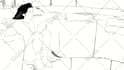 make a 2d cartoon animation video for you