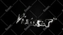 create 10 logo intro animation within 24 hours