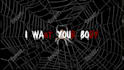make an animated lyric video