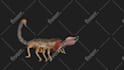 rig and animate your 3d models in blender