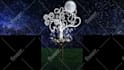 do 3d projection mapping video content for the show