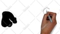 do pro whiteboard explainer videos , fast delivery