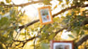 create a magical photo slideshow for your loved ones