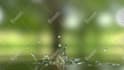 create water dropping logo animation 4k