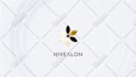 create glorious custom logo animation within 24 hour 3d 2d