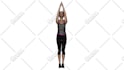 do 3d animated gym exercises and yoga poses