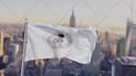 make an professional flag animation video with your logo