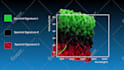 create high end 3d medical animation
