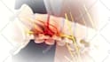 create 3d medical animation and 3d modeling