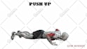 do 3d animated gym exercises and yoga poses