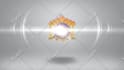 create 5 amazing video intro logo animation