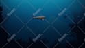 do 3d character walk, running and jumping animations