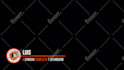 provide you the best lower third plus social pack within 24h