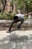 create and edit a skate video ad for your business