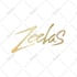 deliver you a professional logo