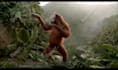 do funny monkey dancing animation with your music and text