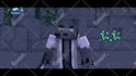 do a professional minecraft intro