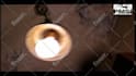 customize pest control video for your business