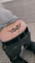 do camera, motion tracking, keying, add graphics, callouts, text to any video