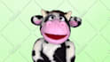 have moorice the cow create a custom puppet video