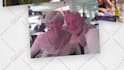 create a happy birthday photo slideshow and video montage