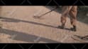 create logistics truck trailer promo video