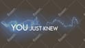 create professional lyric videos with custom audio visualization