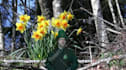 be your magical Leprechaun on video