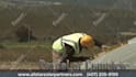 personalize this solar panel company commercial