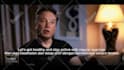 promote your business by elon musk