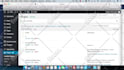 develop wordpress plugin, fix errors, customize theme